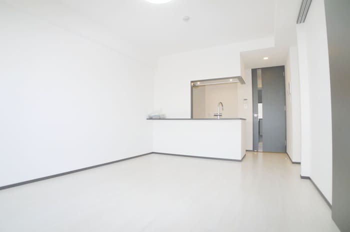 居室 ミルーナヒルズ柏（305）