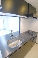 キッチン ミルーナヒルズ柏（305）