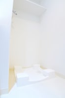 洗濯機置場 ミルーナヒルズ柏（305）