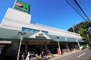 マルエツ　東門前店(スーパー)まで1100m Ｔ.Ｙ.Ｓパ－プル