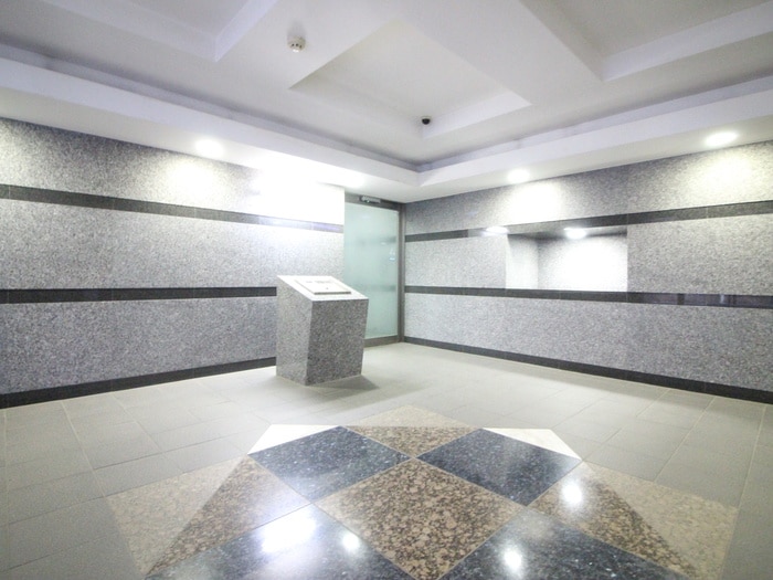 エントランス部分 ルーブル鷺宮(303)