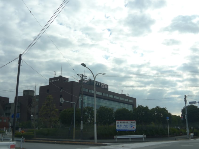 東京歯科大学(大学/短大/専門学校)まで310m リブリ・スカイアース