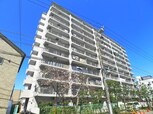 宇喜田カメリア(606)