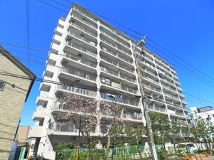 宇喜田カメリア(606)
