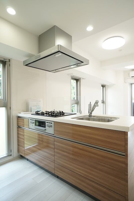 キッチン メインステージ上石神井(101)