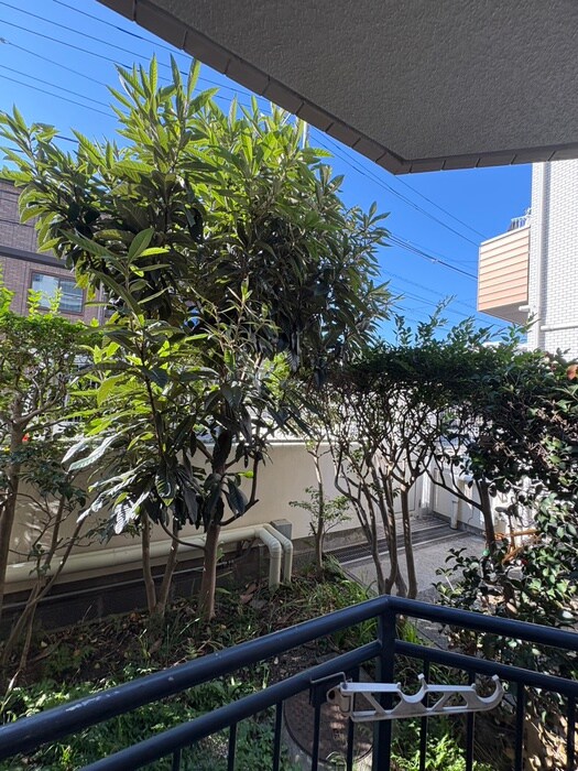 室内からの展望 中央林間ﾊﾟｰｸ・ﾎｰﾑｽﾞ（107）