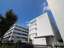 日本獣医生命科学大学(大学/短大/専門学校)まで180m ザ・リバ－ヴュ－