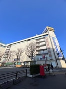 伊勢丹(デパート)まで260m 石川ハイツ