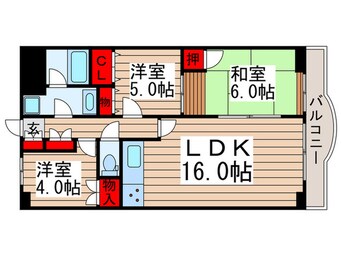 間取図 シラカワパレス