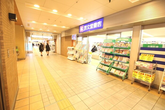 啓文堂書店　高幡店(本屋)まで1295m アルマコート万願寺