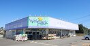 ウェルパーク(ドラッグストア)まで300m REIGETU Ⅱ