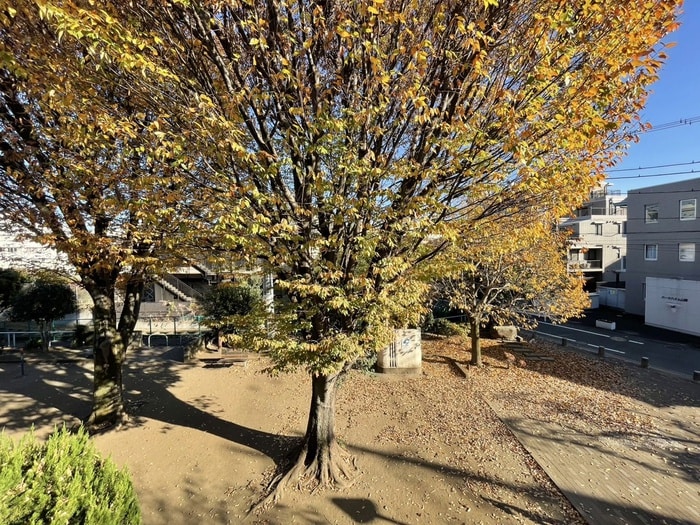 室内からの展望 根岸ハウス