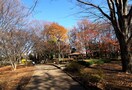 笠幡公園(公園)まで300m ローズ・ハイム