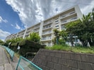 若木住宅3号棟（504）の外観