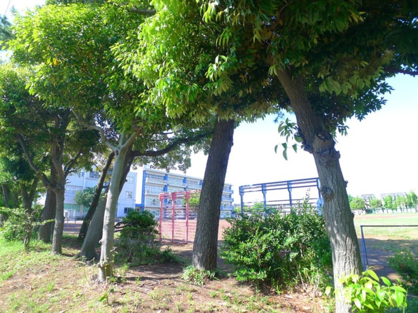 幸町小学校(小学校)まで456m 幸町団地１０街区５号棟(108)