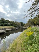 岸根公園(公園)まで1541m エコ－ハイツ２号棟