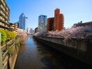 目黒川(公園)まで100m ルネサンスコート目黒