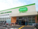 CO-OP府中車返店(スーパー)まで950m ｴｸｾﾗｰｼﾞｭ府中白糸台（804）