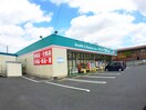 セイムス(ドラッグストア)まで1000m ロ－ズタウン小山