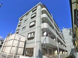 アフィニス原木