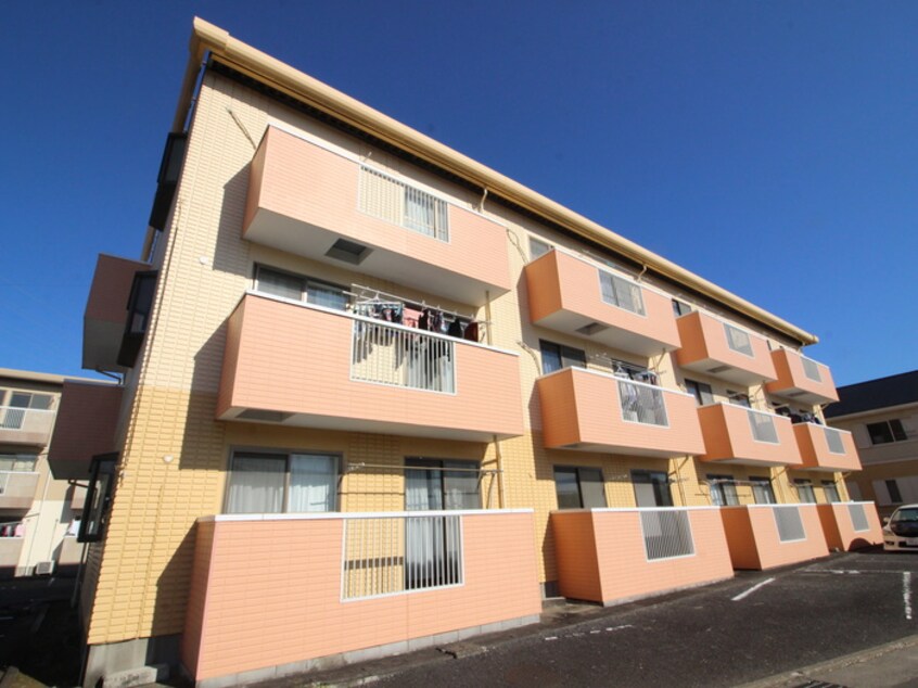 外観写真 シティ－堂山Ａ