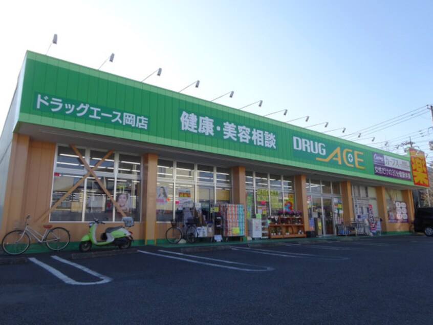 ドラッグ・エース岡店(ドラッグストア)まで396m オハナハイツ