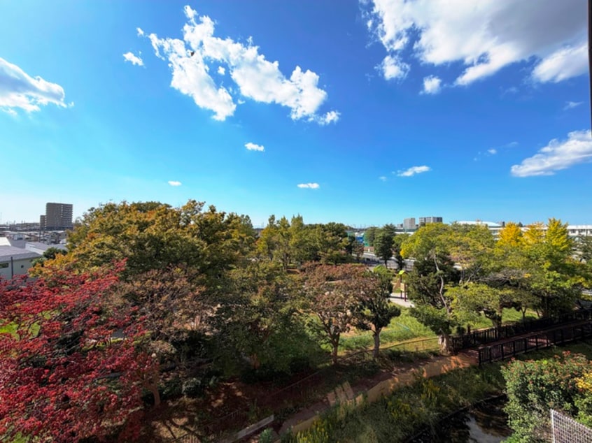 周辺環境 sunshine residence