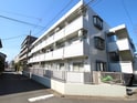 完成写真