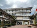 鎌倉市役所(役所)まで2300m フォレスタ鎌倉