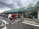 マルエツ(スーパー)まで650m グリーンヒルⅡ