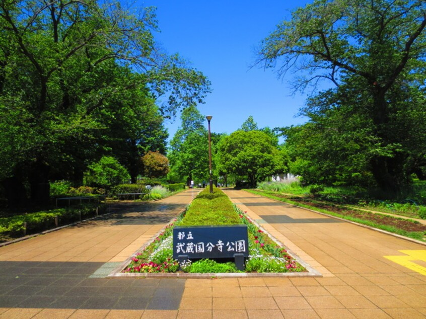 都立武蔵国分寺公園(公園)まで485m 佐藤荘