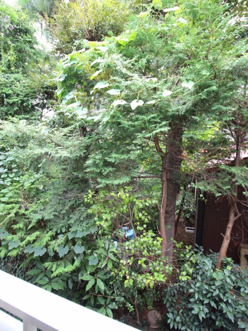 室内からの展望 セントヒルズ百合ケ丘