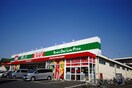 驚安堂　福生店(スーパー)まで339m シティハイム田村