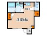 メゾン相模大野 1Kの間取り