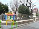 三光幼稚園(幼稚園/保育園)まで350m ルーチェ白金