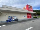 サンドラッグ和田店(ドラッグストア)まで466m 由木ハウス