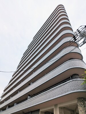 LIONZ PLAZA KUGAHARA（807）