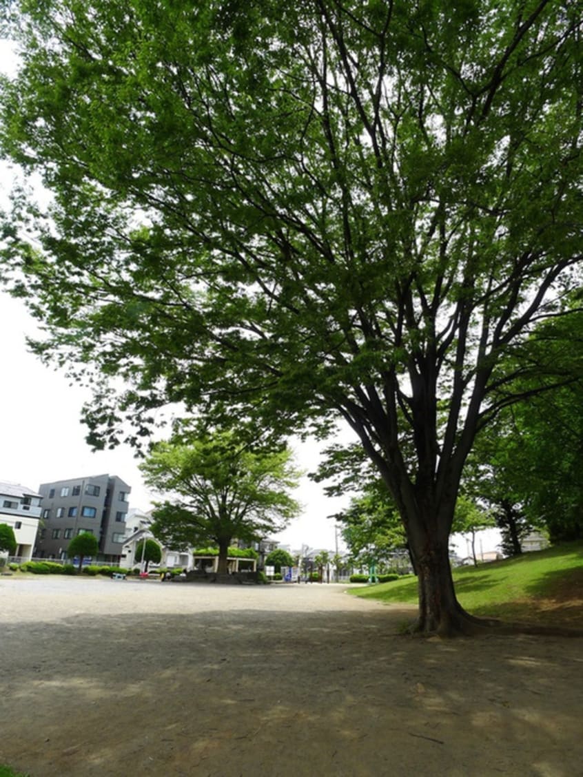 東浦和中央公園(公園)まで1600m ホワイトオ－ク・ヴィラ中尾台