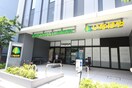 いなげや 飯田橋店(スーパー)まで582m ＡＣＰレジデンス文京春日
