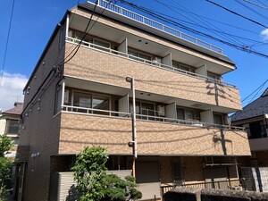 グリーンシャドー
