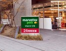 マルエツプチ　東池袋3丁目店(スーパー)まで160m Contel東池袋