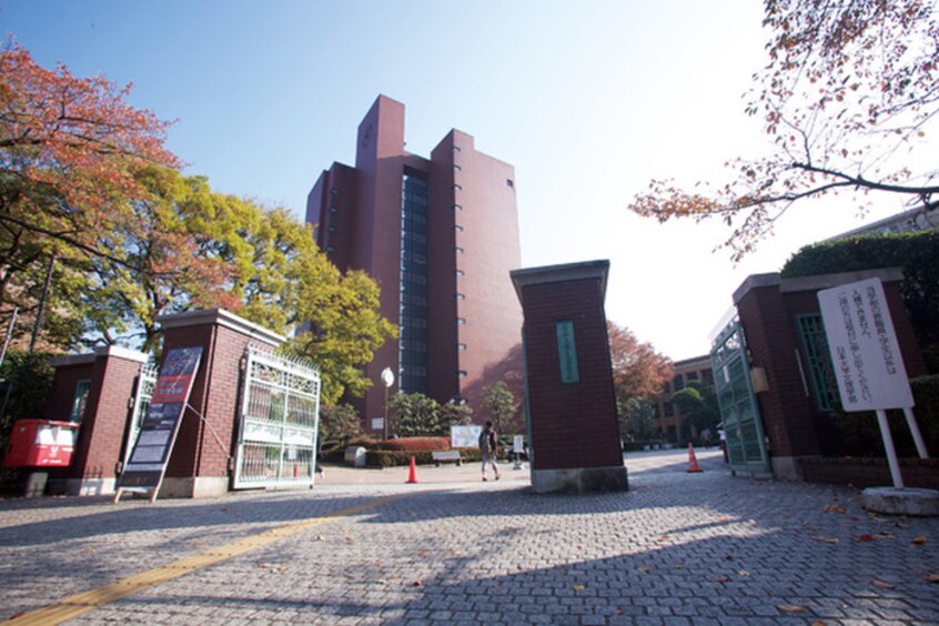 日本大学文理学部キャンパス(大学/短大/専門学校)まで629m ファ－ストビラ