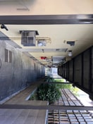 その他 シンフォニー