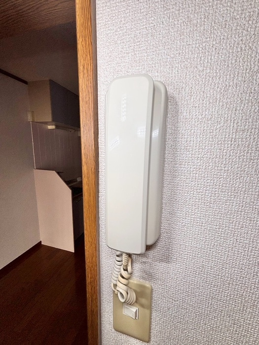 内観写真 フラット　ピオニ－