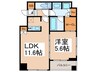 レジディア日本橋馬喰町Ⅲ 1LDKの間取り