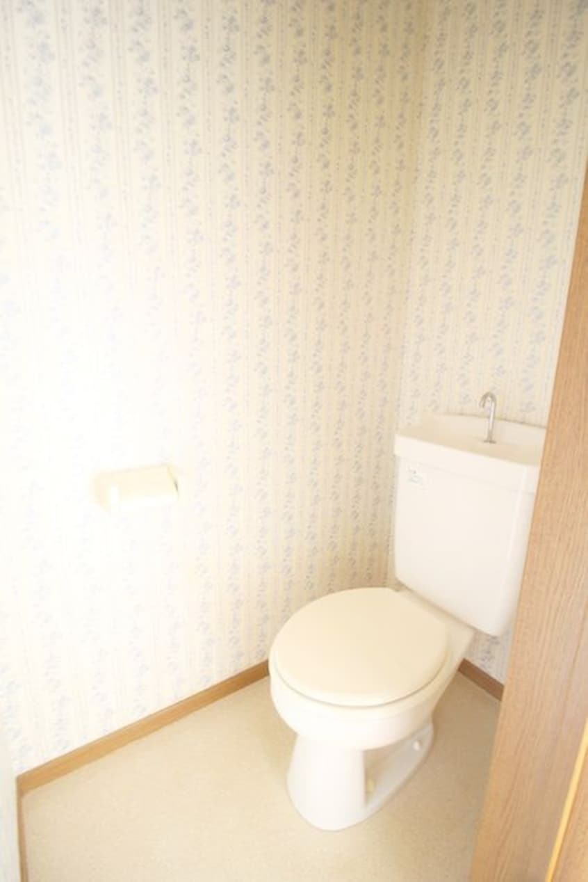 トイレ ロイヤルメゾンⅤ