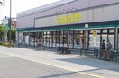 いなげや狛江東野川店(スーパー)まで1363m エトワール狛江