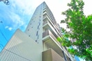 ユリカロゼAZ亀有North Towerの外観