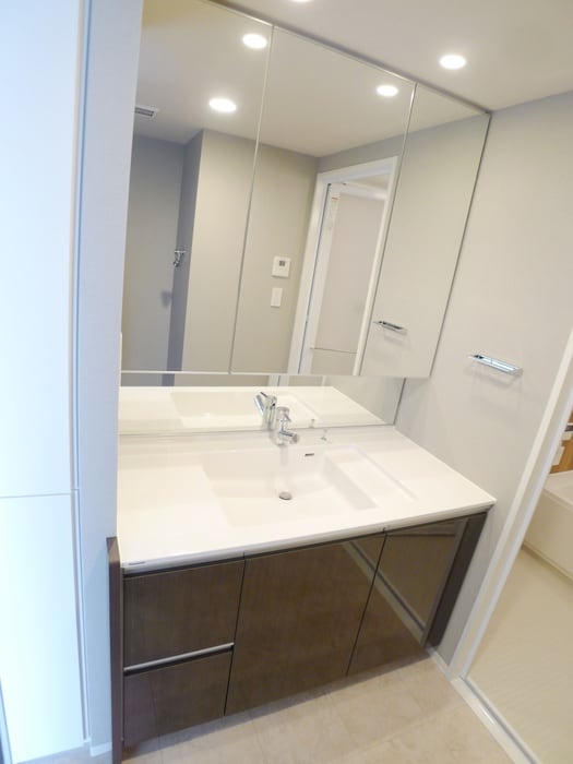 洗面 シティハウス大宮吉敷町(1103)