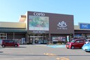 スーパーアルプス 楢原店(スーパー)まで453m ﾌｼﾞﾉﾊｲﾂ　１